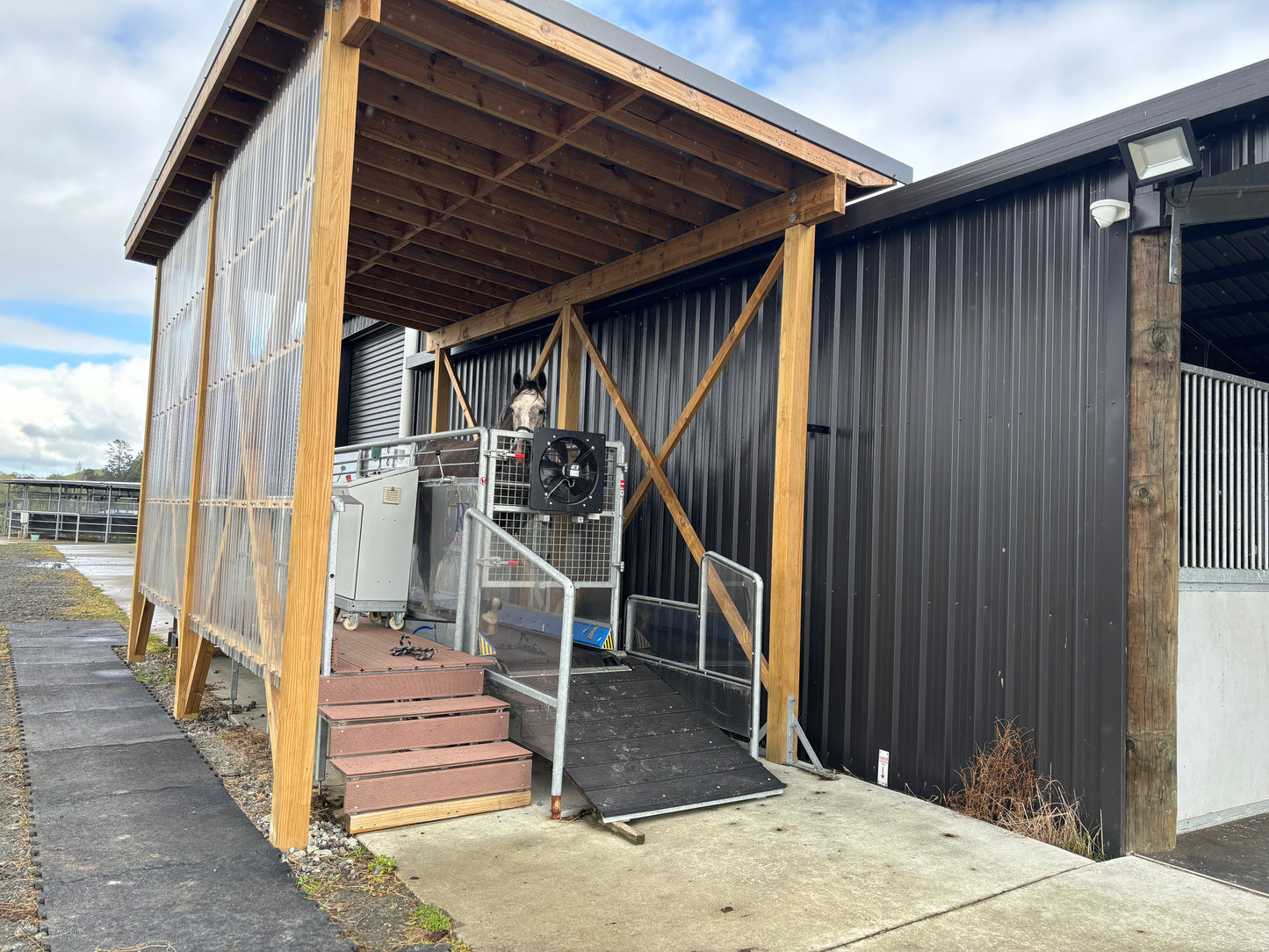 Rehabilititation Agistment