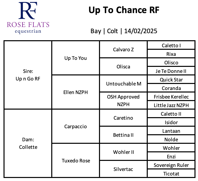 Up To Chance RF