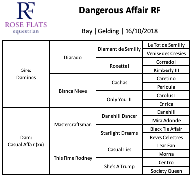 Dangerous Affair RF's pedigree