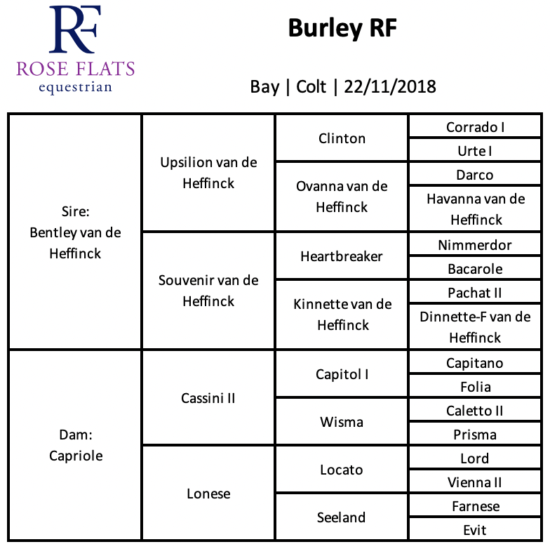 Burley RF