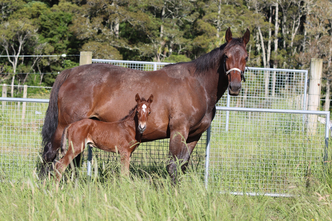 Where Has The Year Gone?