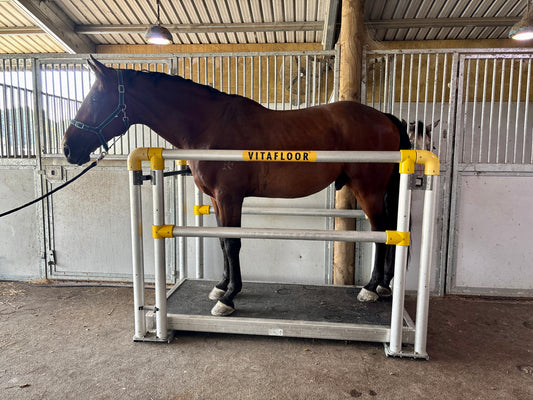 Vitafloor