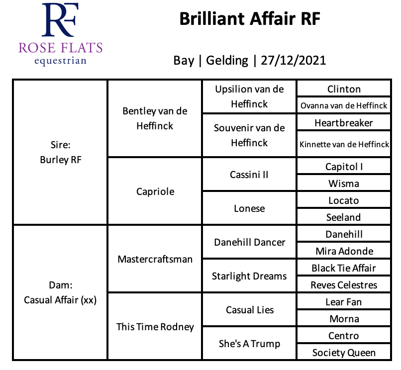 Brilliant Affair RF