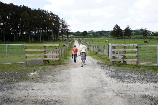 Holiday Care Agistment