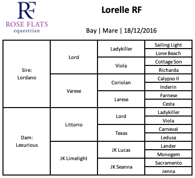 Lorelle RF's pedigree