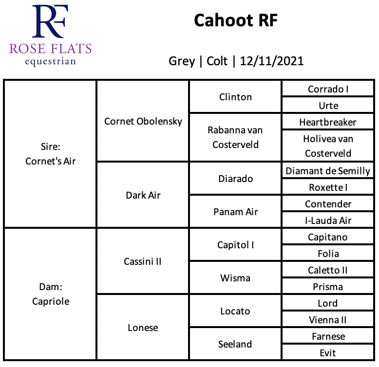 Cahoot pedigree chart